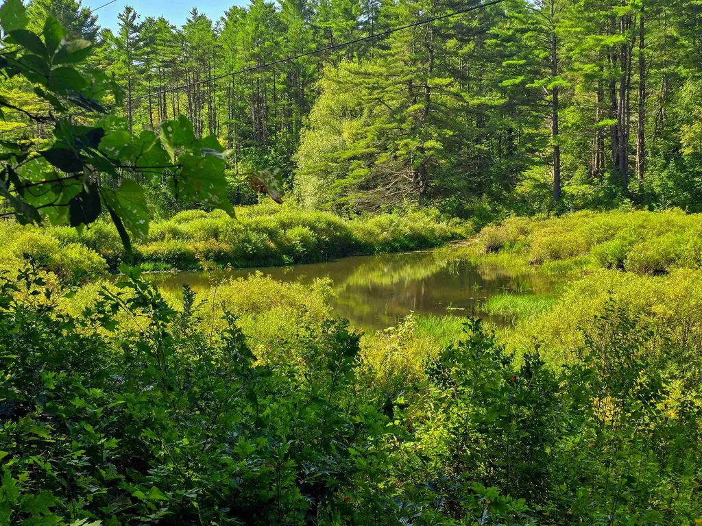 2309 Sherman Hollow Road Huntington VT 05462