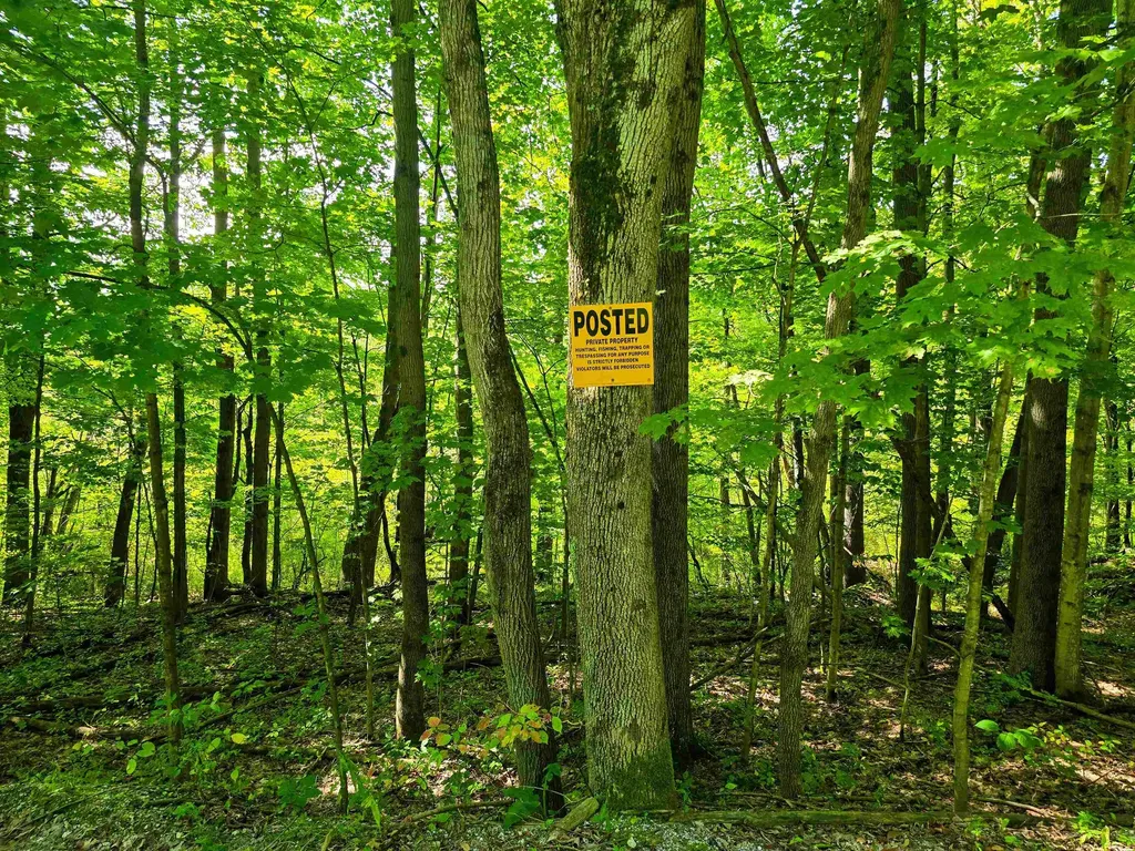 2309 Sherman Hollow Road Huntington VT 05462