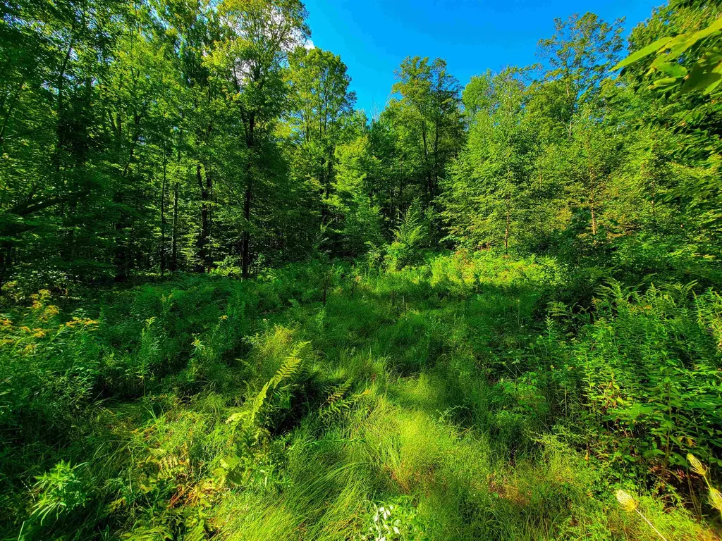 2309 Sherman Hollow Road Huntington VT 05462