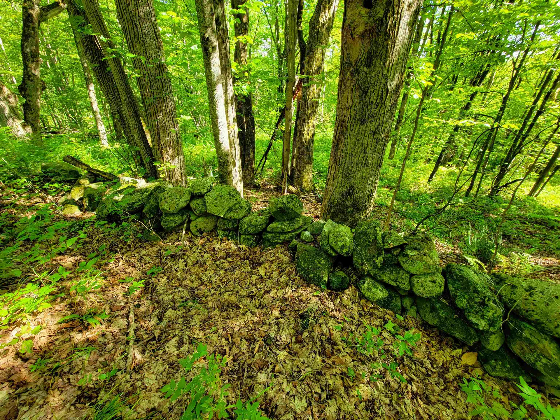 2309 Sherman Hollow Road Huntington VT 05462