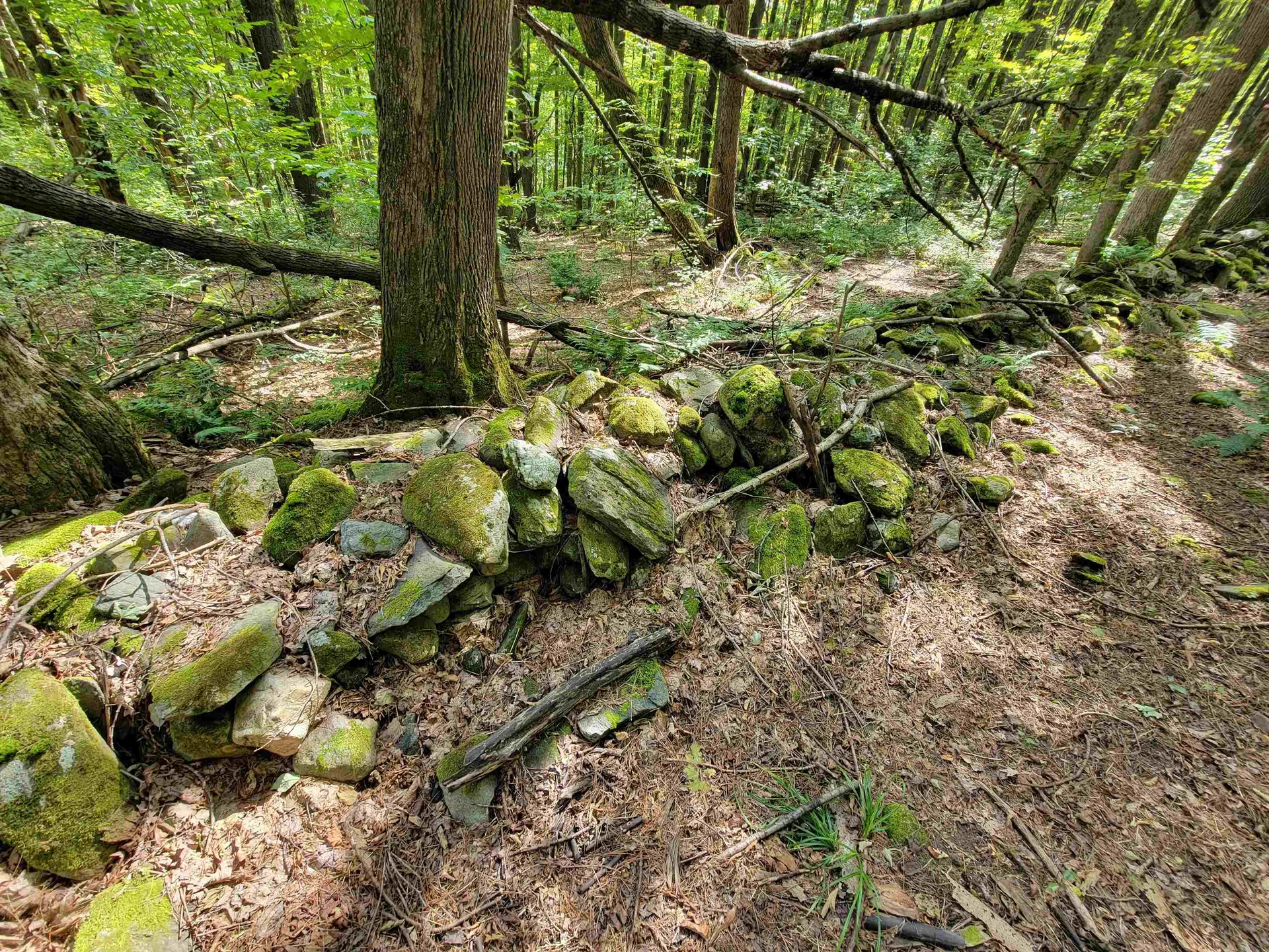 2309 Sherman Hollow Road Huntington VT 05462