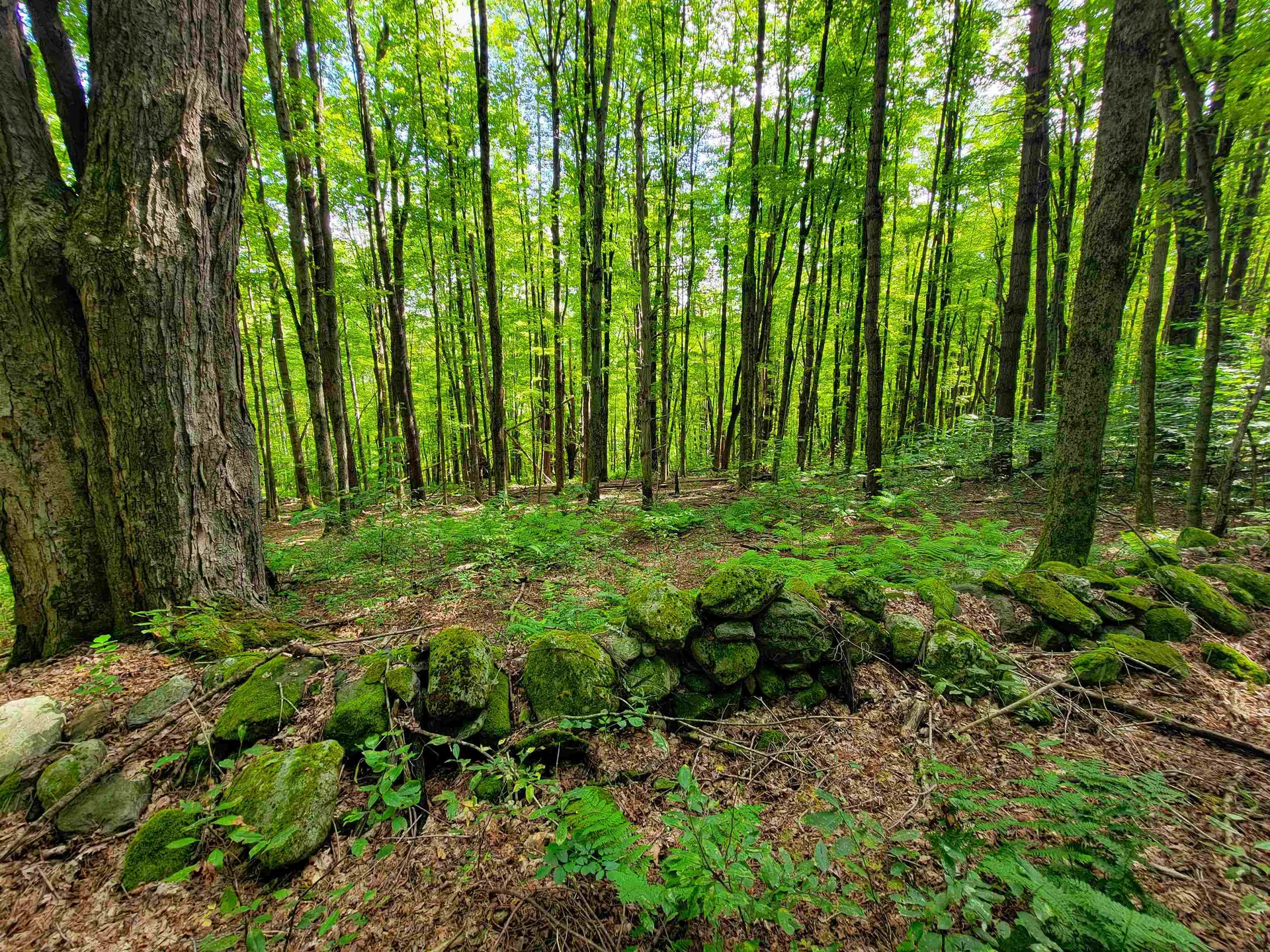 2309 Sherman Hollow Road Huntington VT 05462