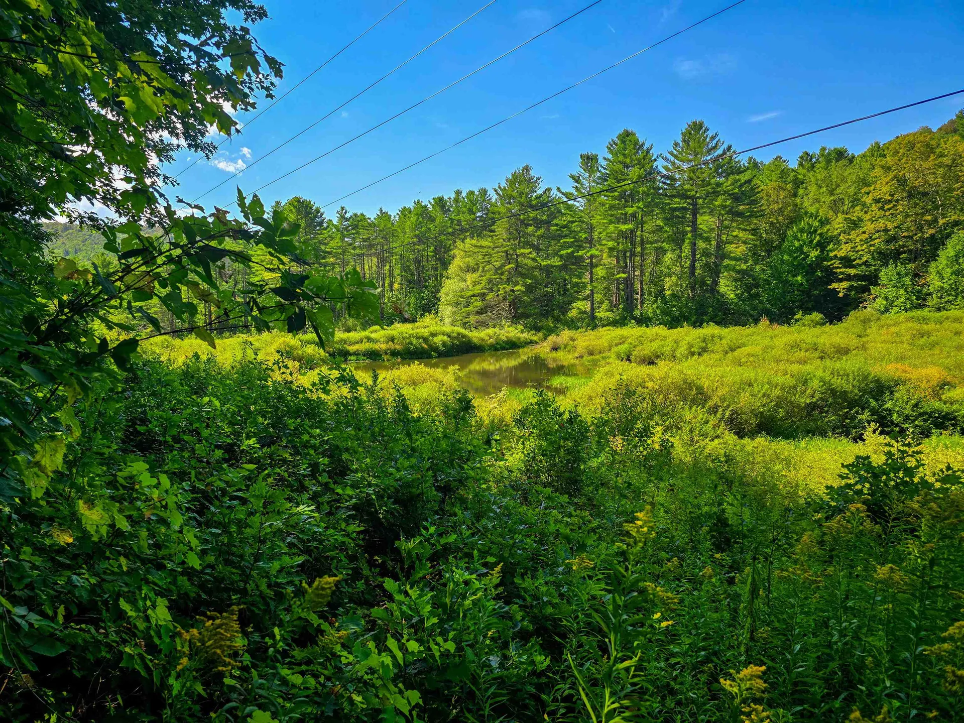 2309 Sherman Hollow Road Huntington VT 05462