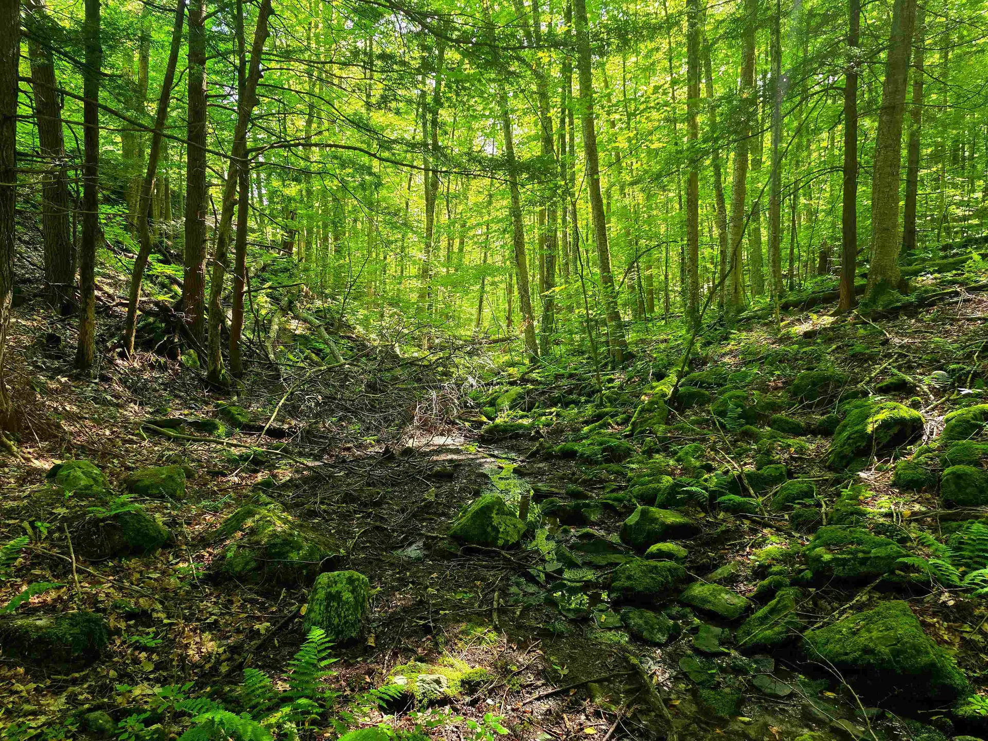 2309 Sherman Hollow Road Huntington VT 05462