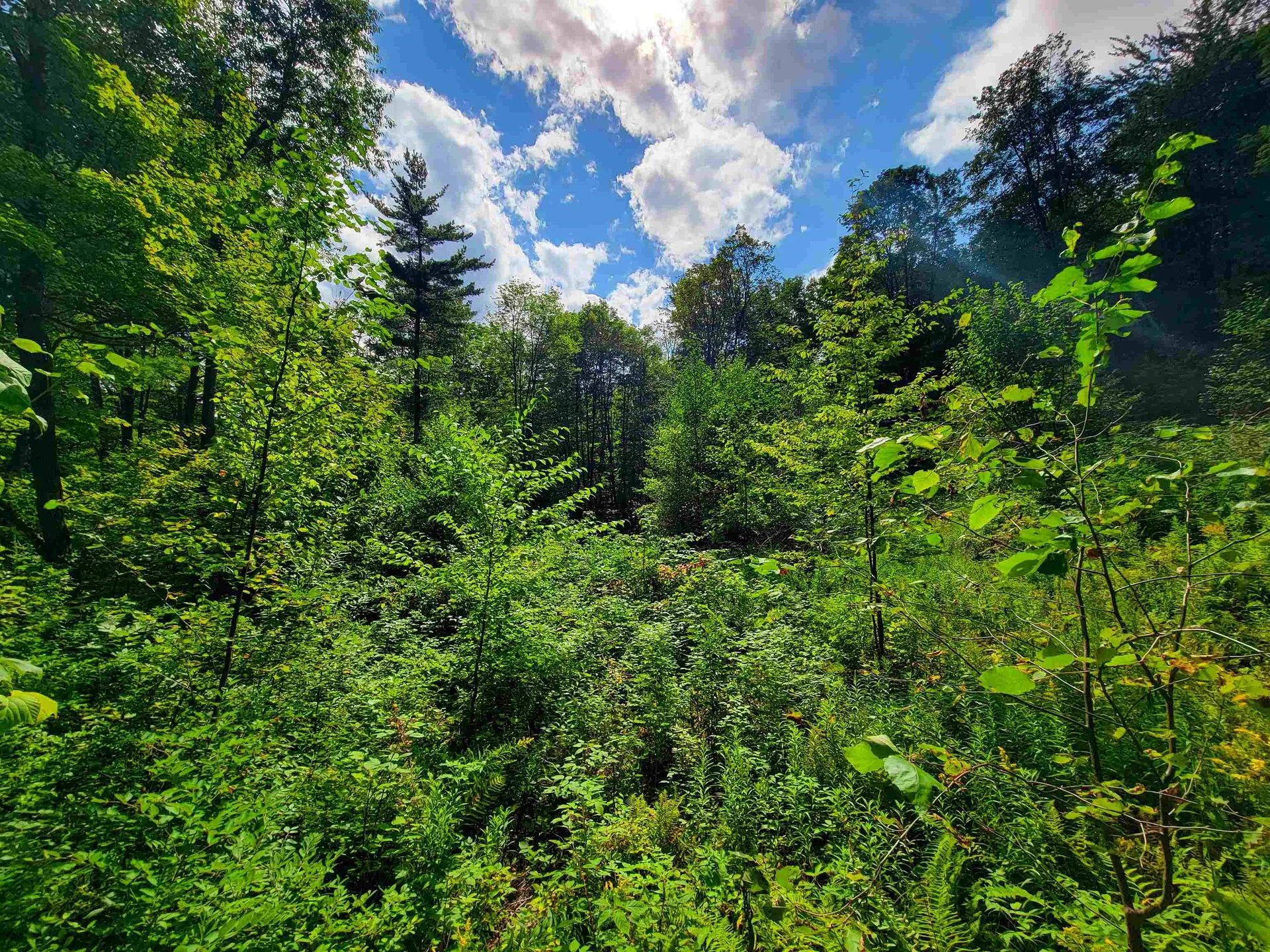 2309 Sherman Hollow Road Huntington VT 05462