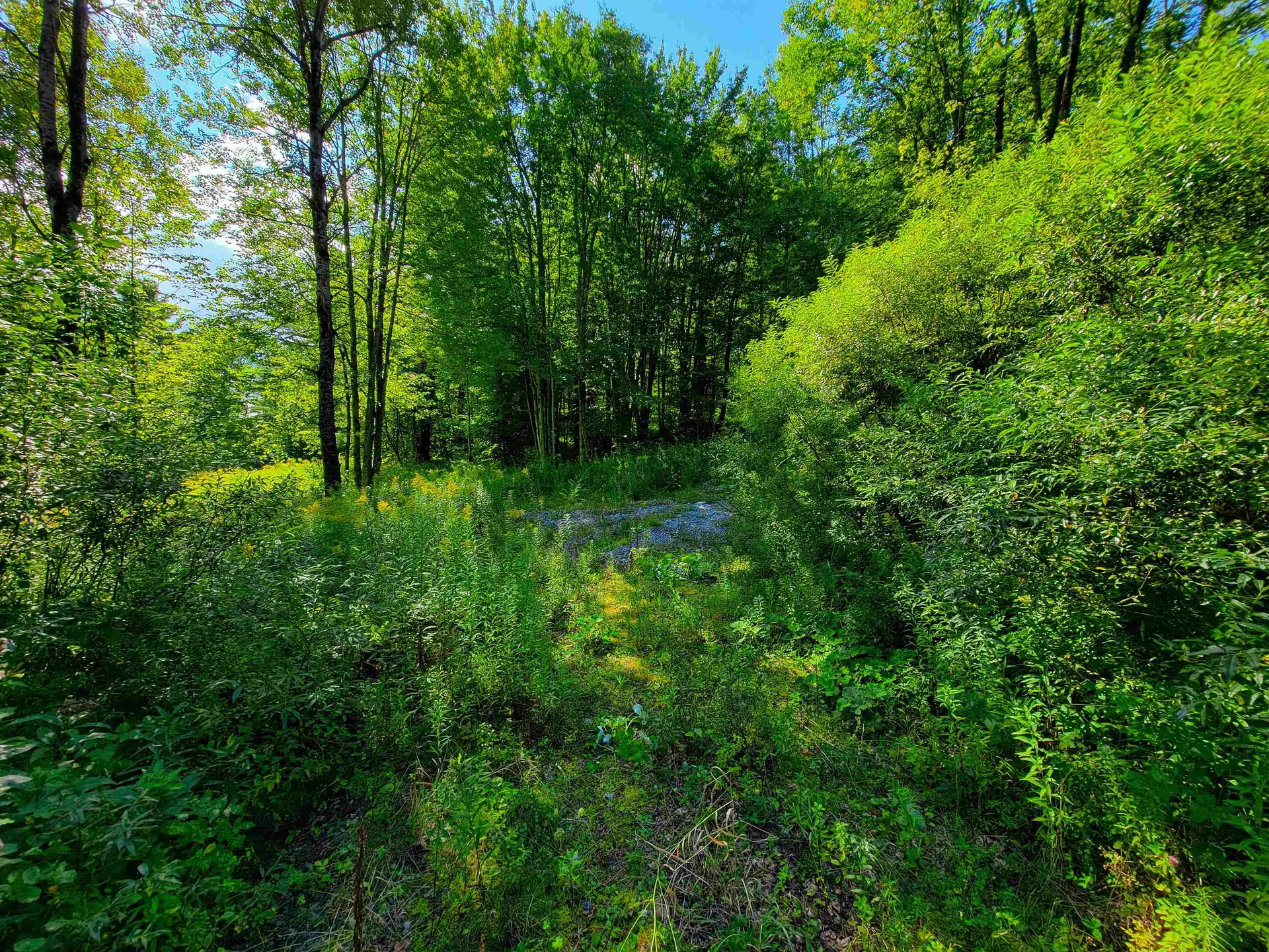 2309 Sherman Hollow Road Huntington VT 05462