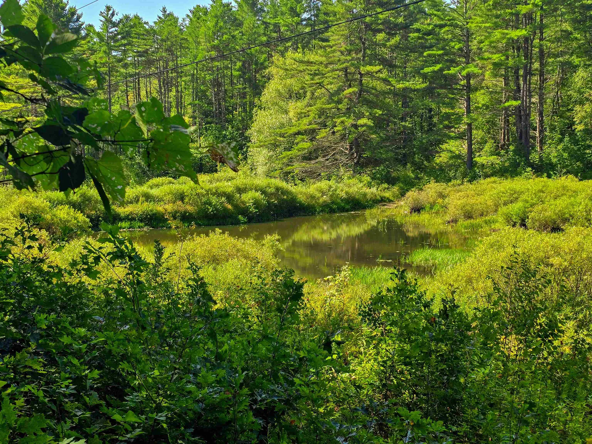 2309 Sherman Hollow Road Huntington VT 05462