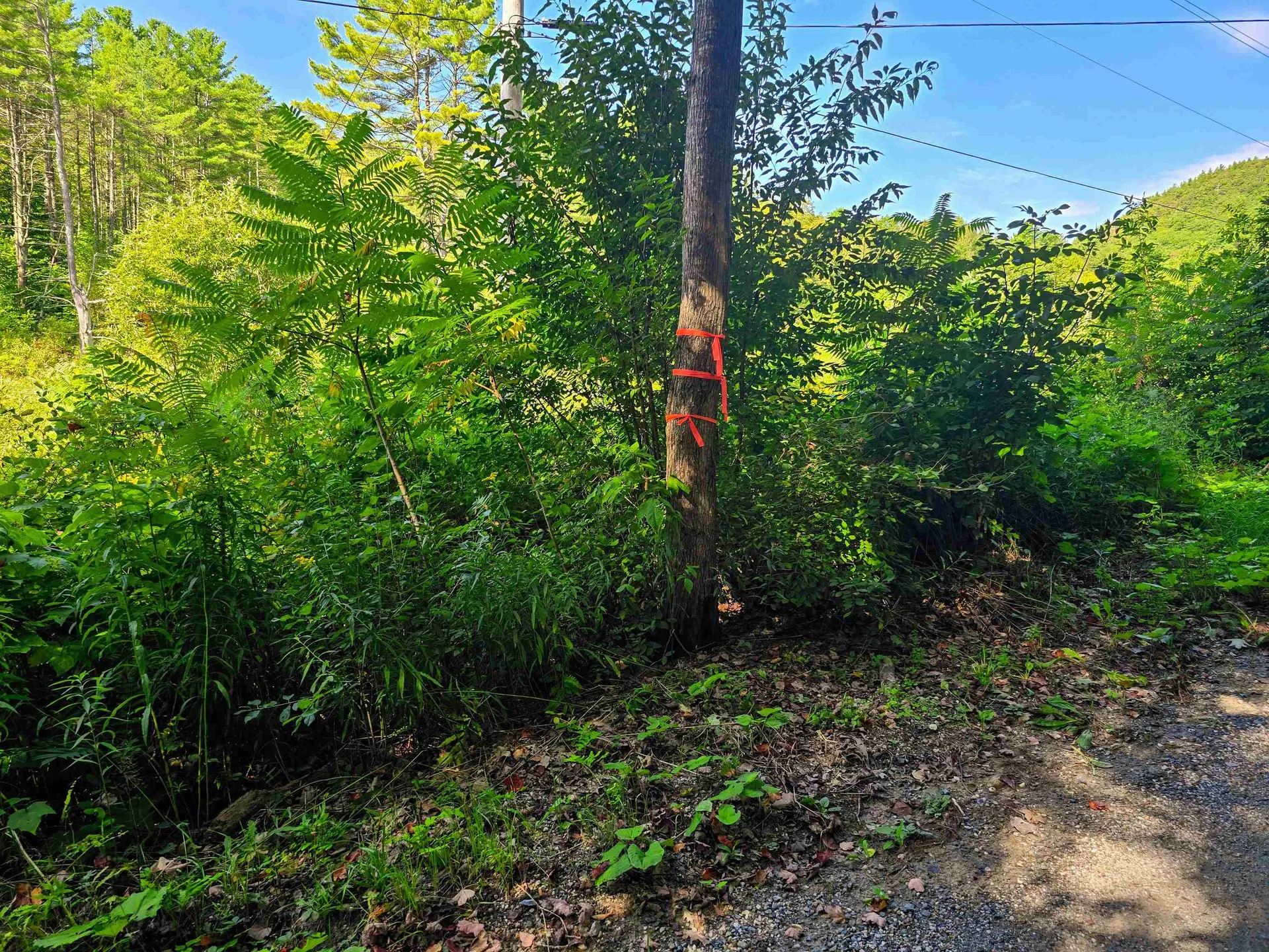 2309 Sherman Hollow Road Huntington VT 05462