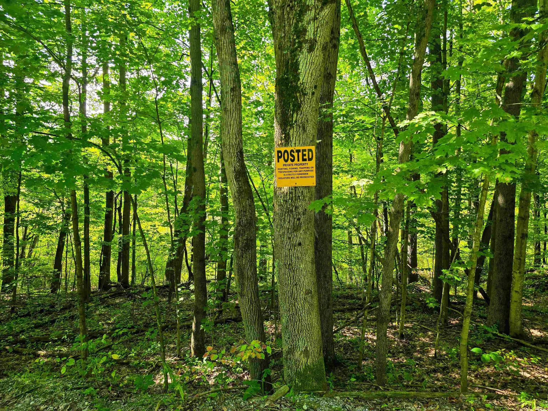 2309 Sherman Hollow Road Huntington VT 05462