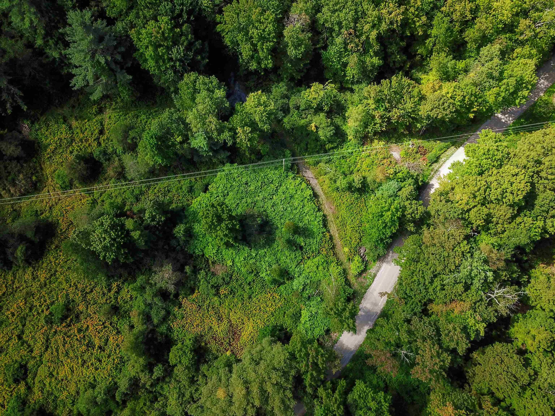 2309 Sherman Hollow Road Huntington VT 05462