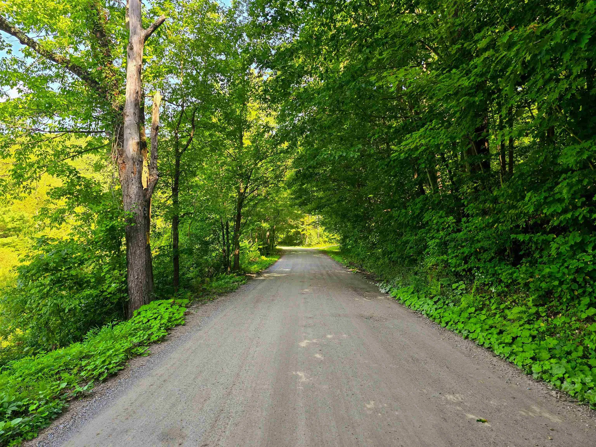2309 Sherman Hollow Road Huntington VT 05462