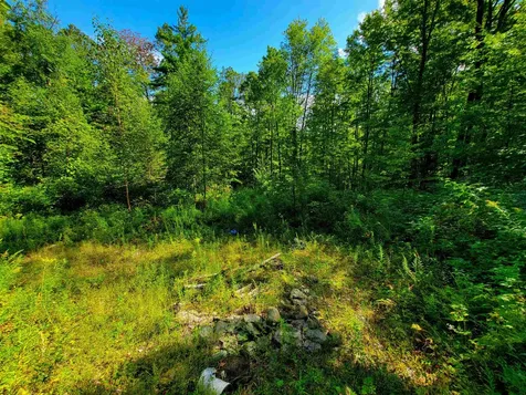2309 Sherman Hollow Road Huntington VT 05462