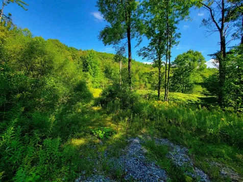 2309 Sherman Hollow Road Huntington VT 05462