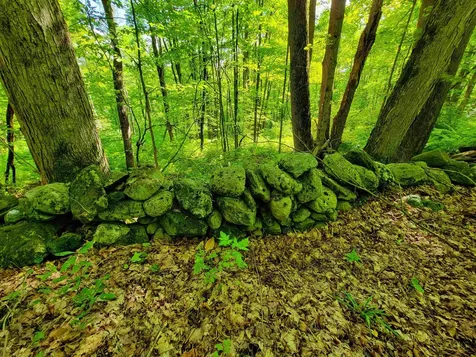 2309 Sherman Hollow Road Huntington VT 05462