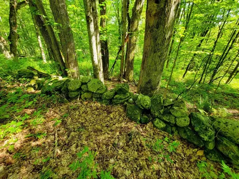 2309 Sherman Hollow Road Huntington VT 05462