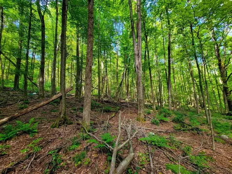 2309 Sherman Hollow Road Huntington VT 05462