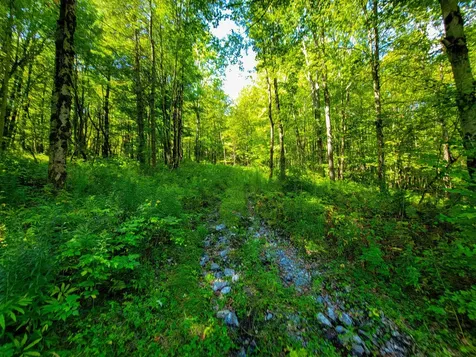 2309 Sherman Hollow Road Huntington VT 05462