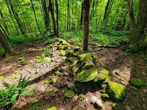 2309 Sherman Hollow Road Huntington VT 05462