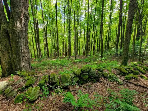 2309 Sherman Hollow Road Huntington VT 05462