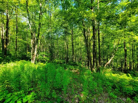 2309 Sherman Hollow Road Huntington VT 05462