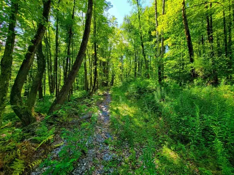 2309 Sherman Hollow Road Huntington VT 05462