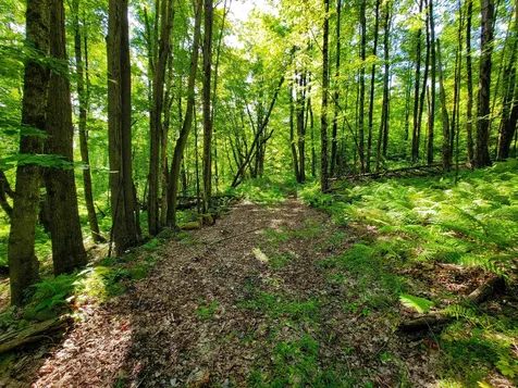 2309 Sherman Hollow Road Huntington VT 05462