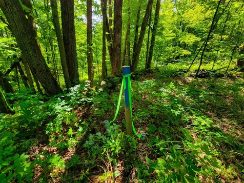 2309 Sherman Hollow Road Huntington VT 05462