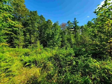 2309 Sherman Hollow Road Huntington VT 05462