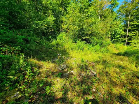 2309 Sherman Hollow Road Huntington VT 05462