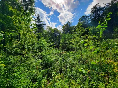 2309 Sherman Hollow Road Huntington VT 05462