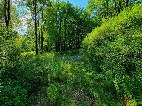 2309 Sherman Hollow Road Huntington VT 05462