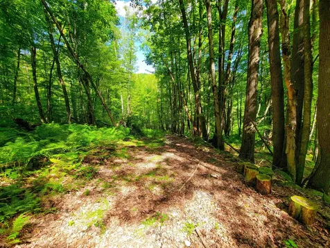 2309 Sherman Hollow Road Huntington VT 05462