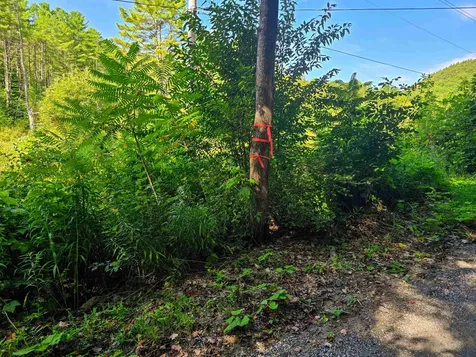 2309 Sherman Hollow Road Huntington VT 05462