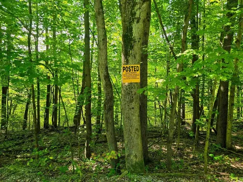 2309 Sherman Hollow Road Huntington VT 05462