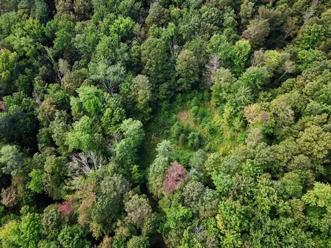 2309 Sherman Hollow Road Huntington VT 05462