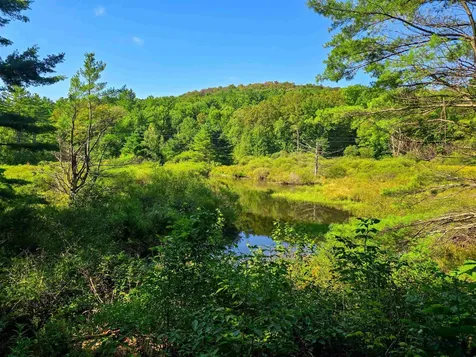 2309 Sherman Hollow Road Huntington VT 05462