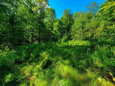 2309 Sherman Hollow Road Huntington VT 05462