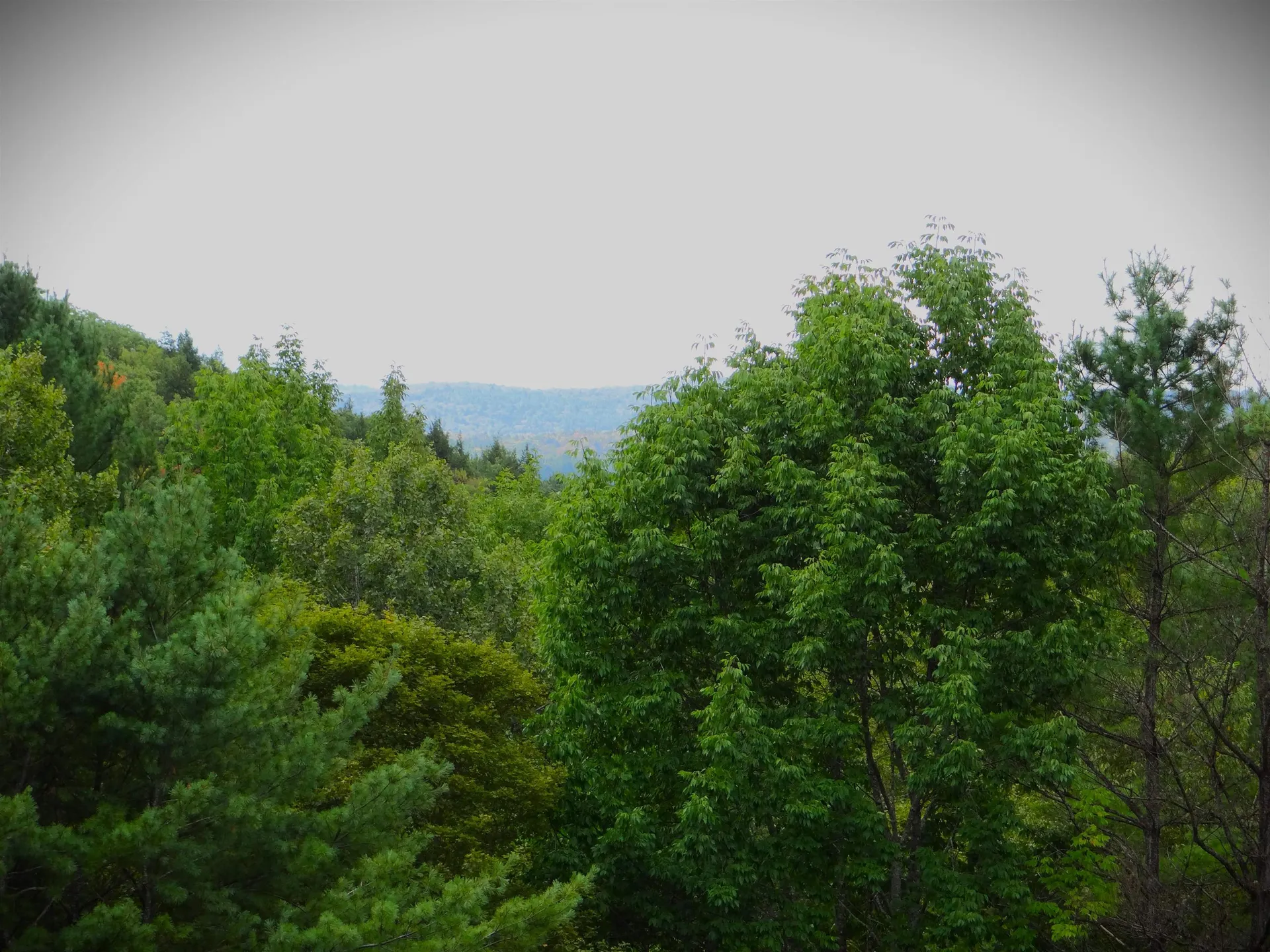 647 Pero Hill Thetford VT 05075