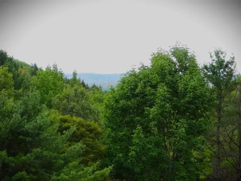 647 Pero Hill Thetford VT 05075