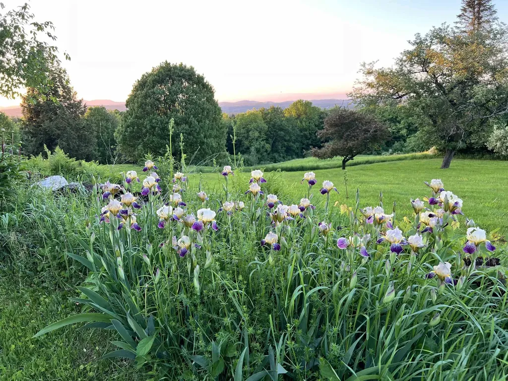 484 East Montpelier Road Barre Town VT 05641