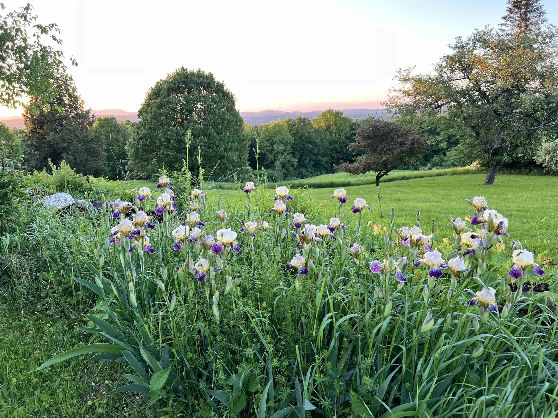 484 East Montpelier Road Barre Town VT 05641