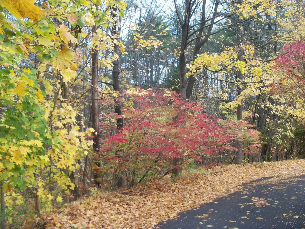 Sanborn Street Laconia NH 03246