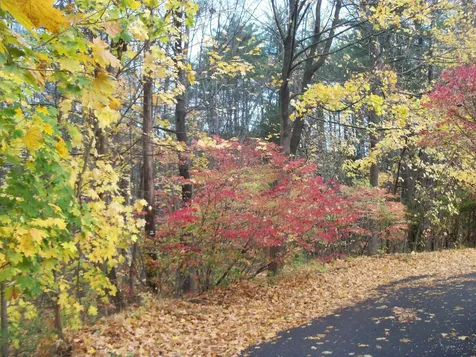 Sanborn Street Laconia NH 03246