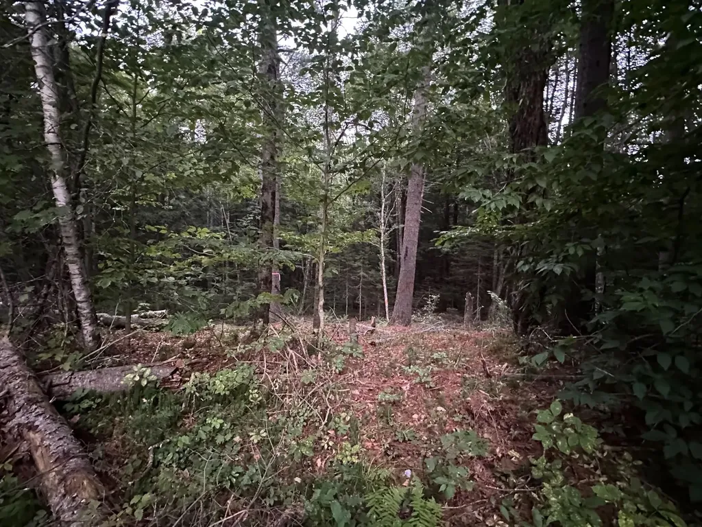 131 Adams Drive Washington NH 03280