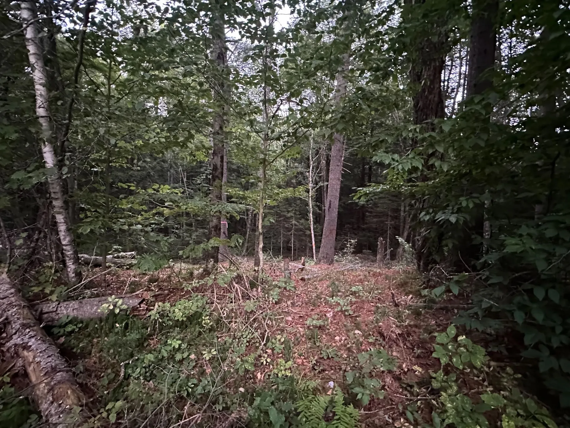 131 Adams Drive Washington NH 03280