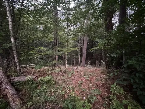 131 Adams Drive Washington NH 03280