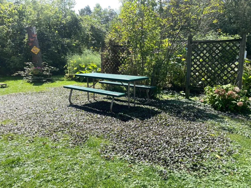 45 Campano Drive Georgia VT 05478