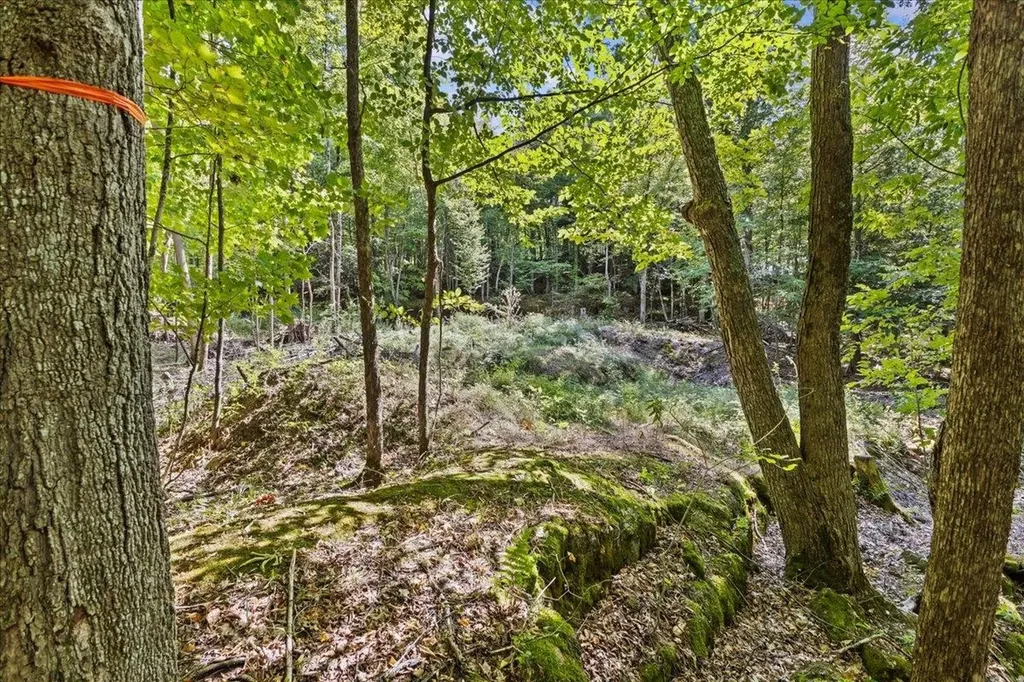 514 Red Rock Road Colchester VT 05446