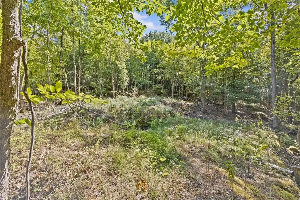 514 Red Rock Road Colchester VT 05446