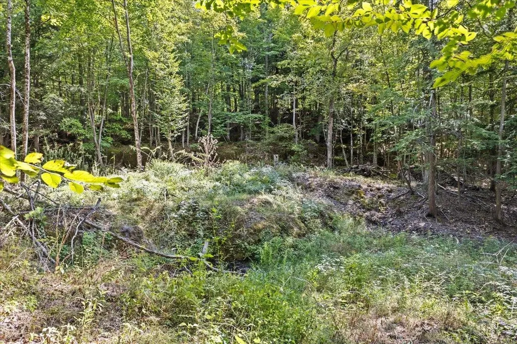 514 Red Rock Road Colchester VT 05446